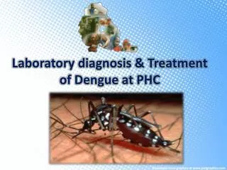 Laboratory diagnosis &amp; Treatment of Dengue at PHC