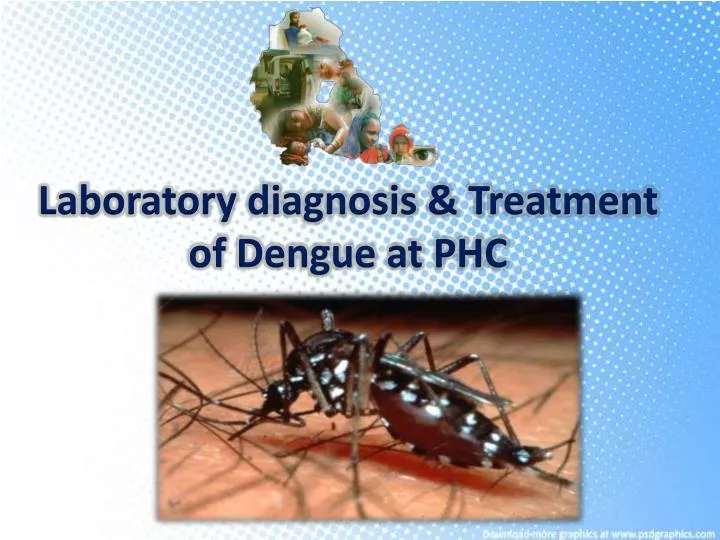 laboratory diagnosis treatment of dengue at phc