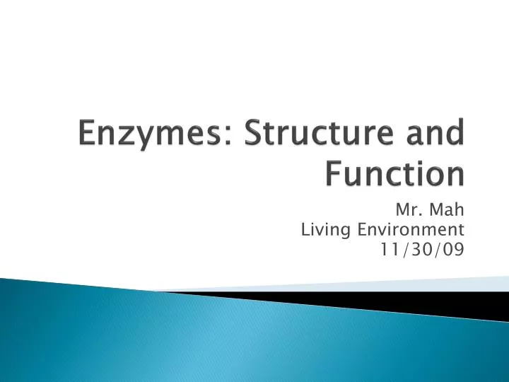 enzymes structure and function