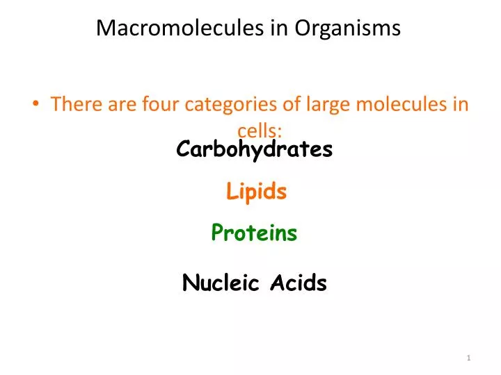 macromolecules in organisms