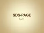 SDS-PAGE - slide 1