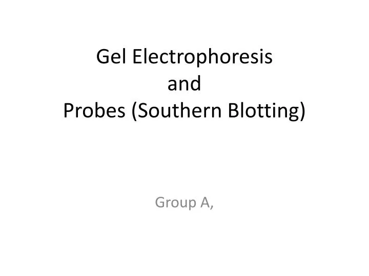 gel electrophoresis and probes southern blotting