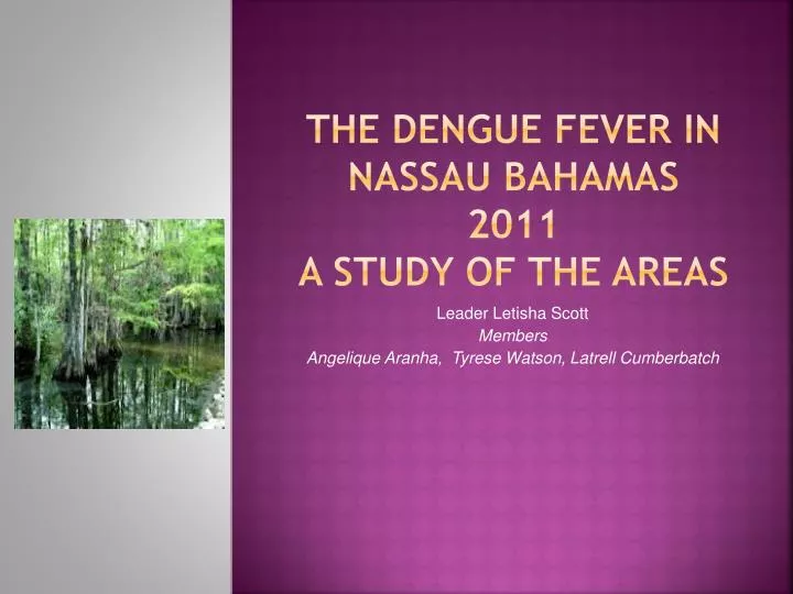the dengue fever in nassau bahamas 2011 a study of the areas