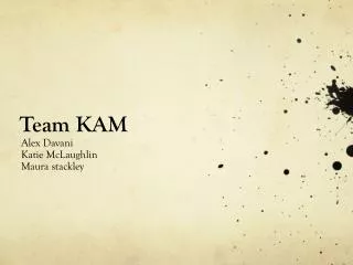 Team KAM