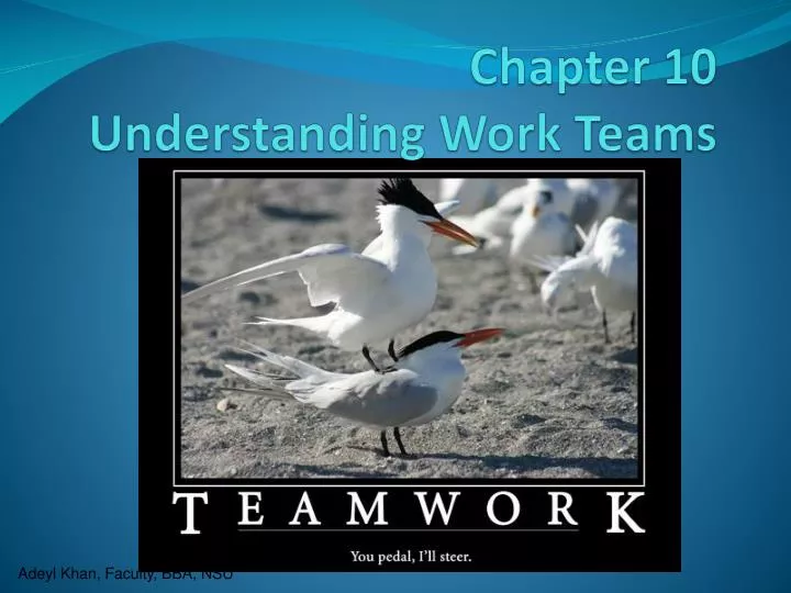 chapter 10 understanding work teams