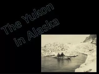 The Yukon in Alaska
