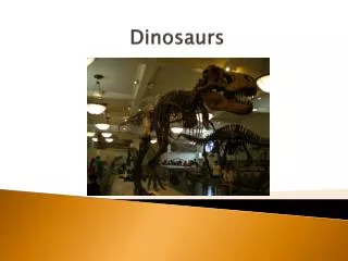 Dinosaurs