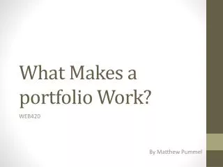 What Makes a portfolio Work?
