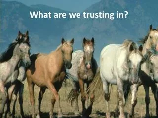What are we trusting in?