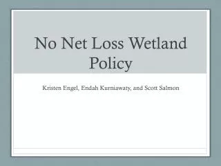 No Net Loss Wetland Policy