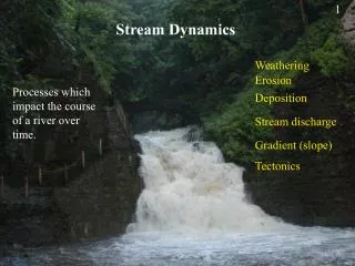 Stream Dynamics