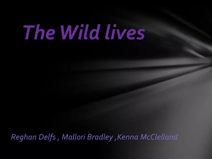 the wild lives