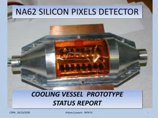 NA62 SILICON PIXELS DETECTOR