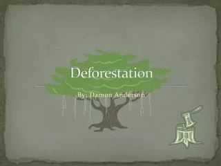 deforestation