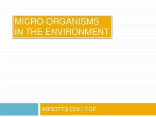 MICRO-ORGANISMS IN THE ENVIRONMENT