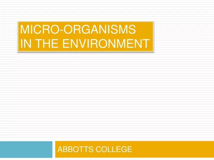 micro organisms in the environment