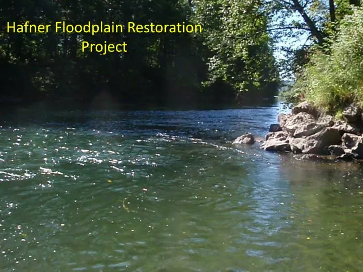 hafner floodplain restoration project