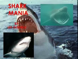 SHARK MANIA