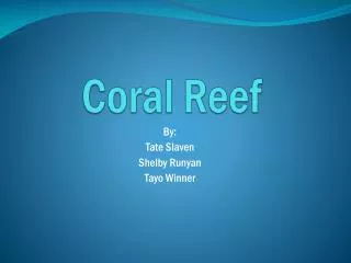 Coral Reef