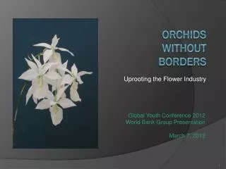 Orchids Without Borders