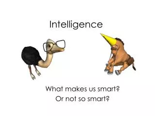 Intelligence