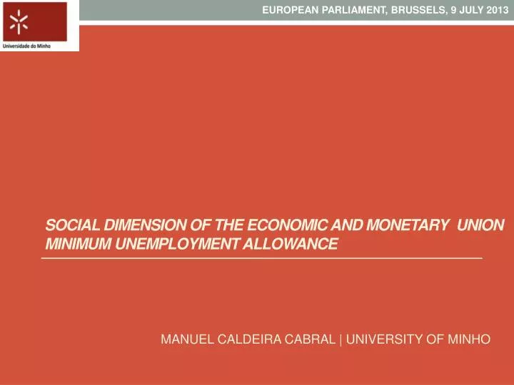social dimension of the economic and monetary union minimum unemployment allowance
