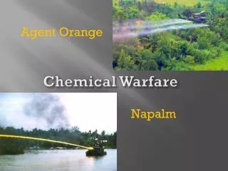 Chemical Warfare