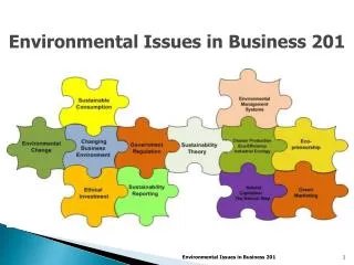 Environmental Issues in Business 201