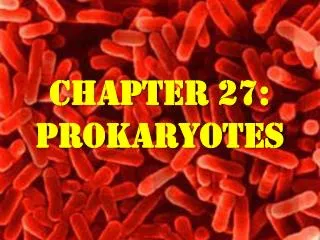 Chapter 27: Prokaryotes