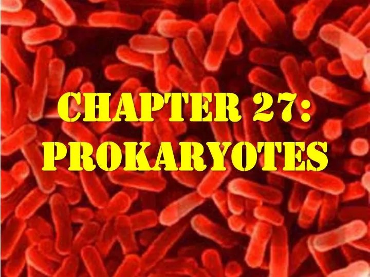 chapter 27 prokaryotes