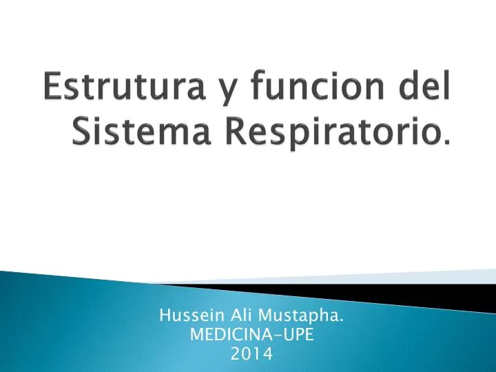 estrutura y funcion del sistema respiratorio