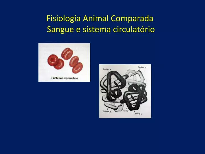 fisiologia animal comparada sangue e sistema circulat rio