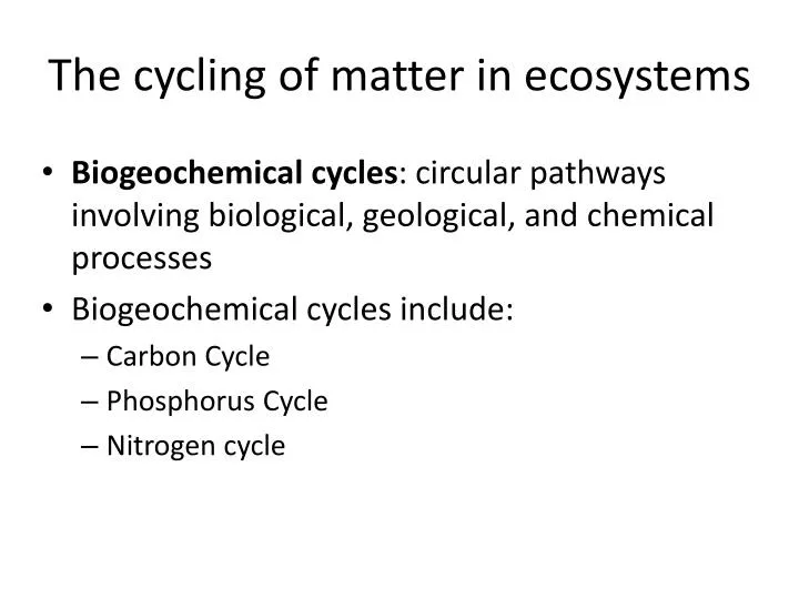 the cycling of matter in ecosystems
