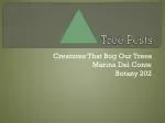Tree Pests