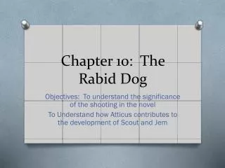 chapter 10 the rabid dog