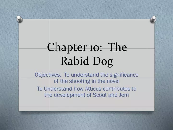 chapter 10 the rabid dog
