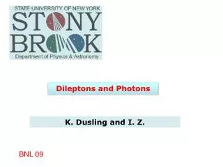 Dileptons and Photons