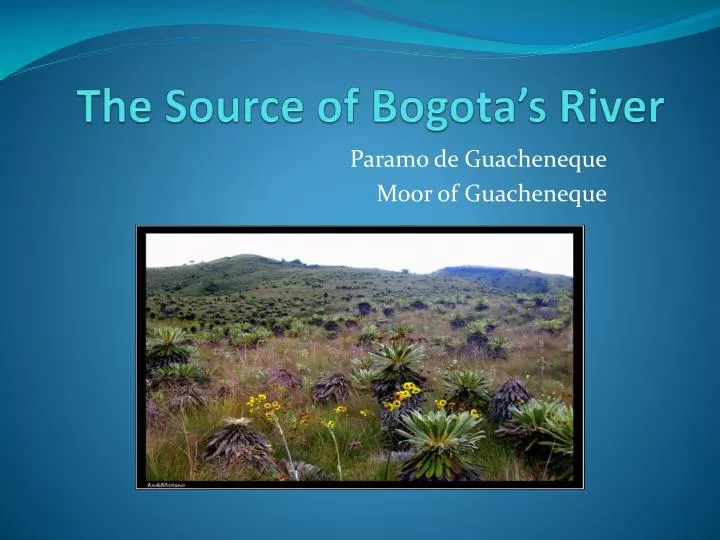 the source of bogota s river
