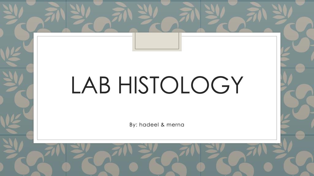 PPT - Lab histology PowerPoint Presentation, free download - ID:2235338