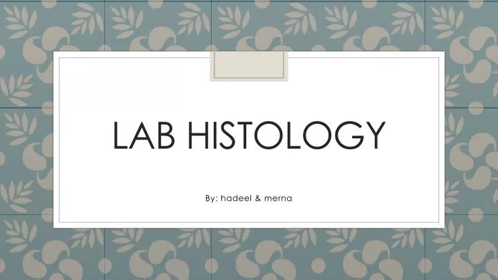 lab histology