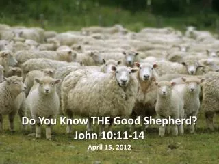 Do You Know THE Good Shepherd ? John 10:11-14 April 15, 2012