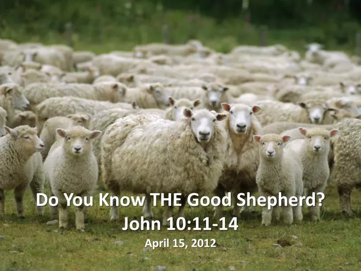 do you know the good shepherd john 10 11 14 april 15 2012