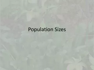 Population Sizes