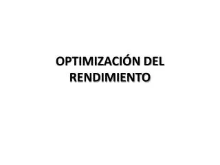 optimizaci n del rendimiento