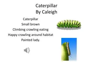 Caterpillar By Caleigh