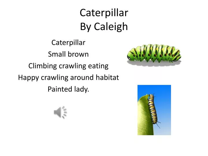 caterpillar by caleigh