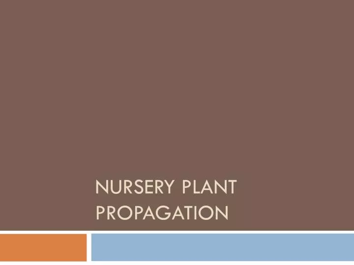 nursery plant propagation