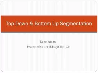 Top-Down &amp; Bottom Up Segmentation