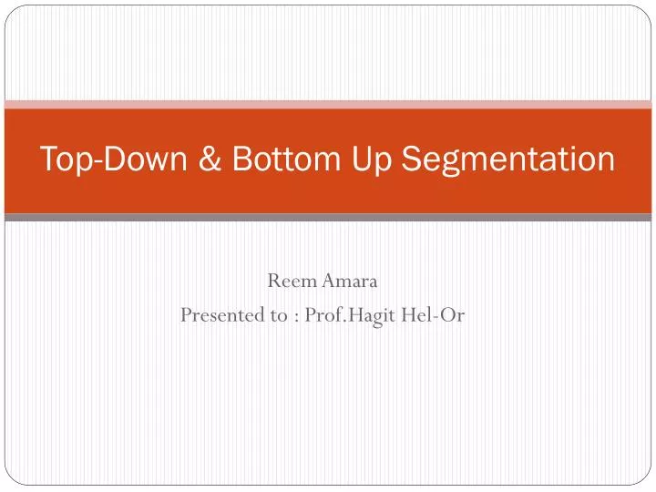 top down bottom up segmentation