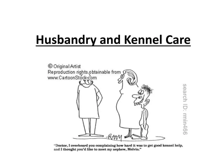 husbandry and kennel care